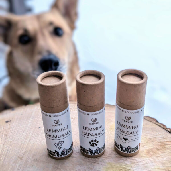 Lemmiku Käpasalv 10g