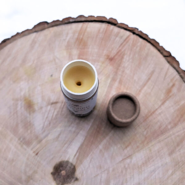 Lemmiku Käpasalv 10g