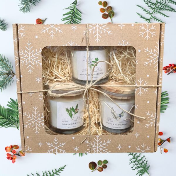 Tervixi looduslikud puidust tahiga rapsivahast lõhnaküünlad